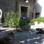 Het Wolfseind