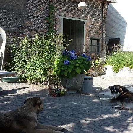 Het Wolfseind