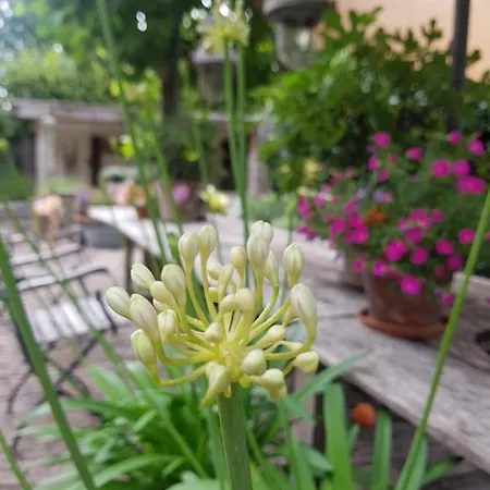 Het Wolfseind ベッド・アンド・ブレックファスト