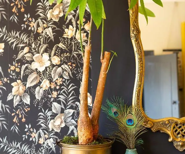 فندق مبيت وإفطار Het Wolfseind *