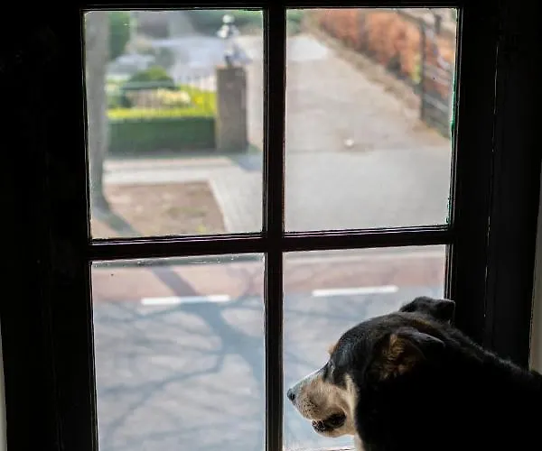 Het Wolfseind * Kaatsheuvel