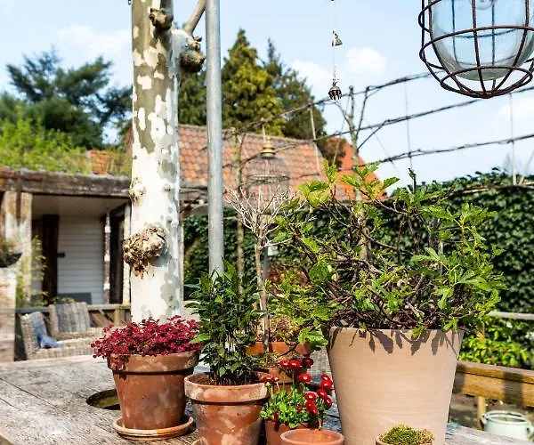 Bed and Breakfast Het Wolfseind Kaatsheuvel