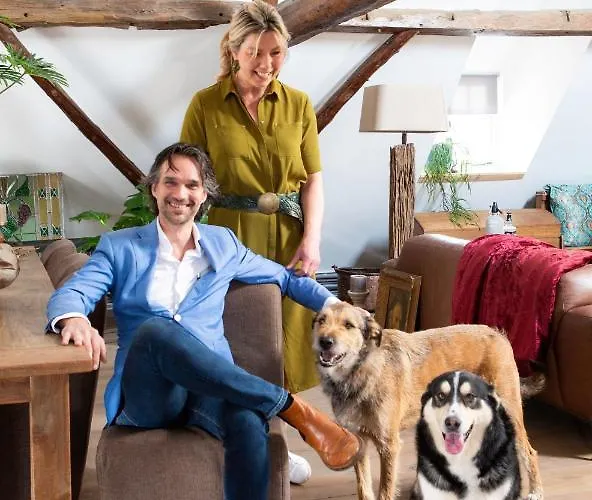 Het Wolfseind * Kaatsheuvel