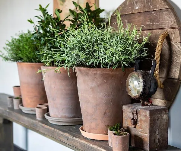 Het Wolfseind Bed and Breakfast Kaatsheuvel