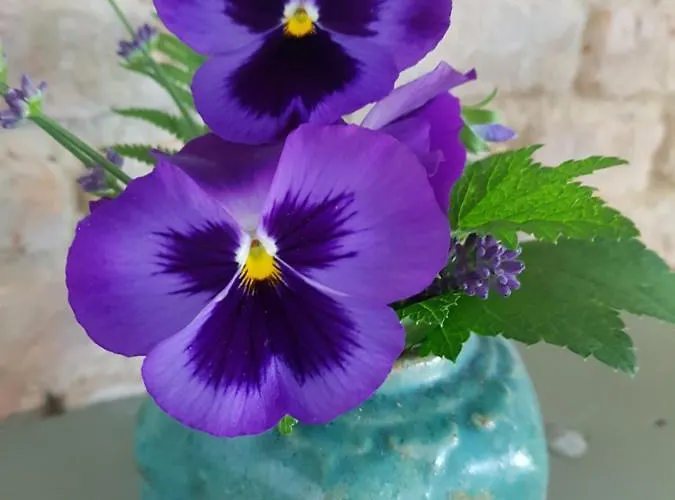 Het Wolfseind Bed & Breakfast