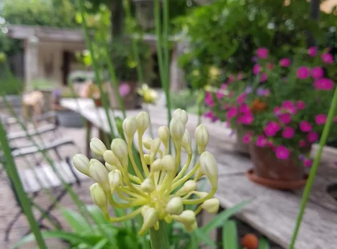 Het Wolfseind Bed and Breakfast