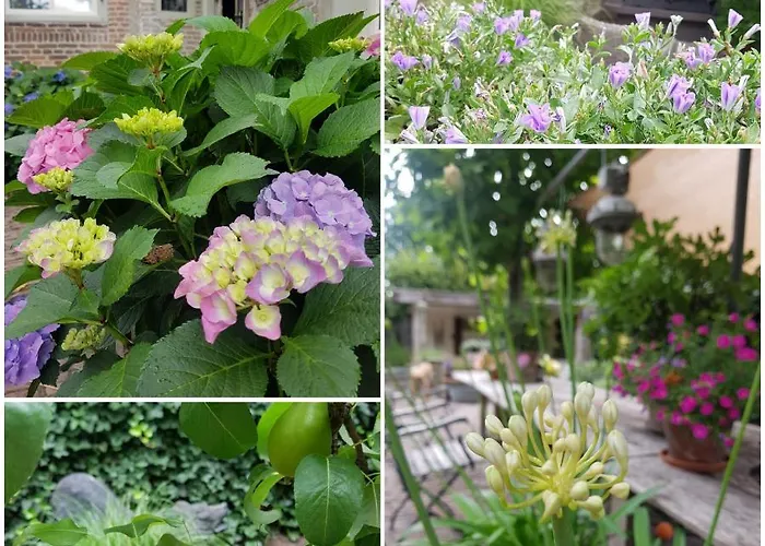 Het Wolfseind Bed & Breakfast *