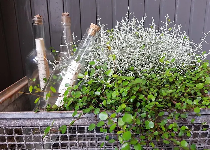 Het Wolfseind * Kaatsheuvel