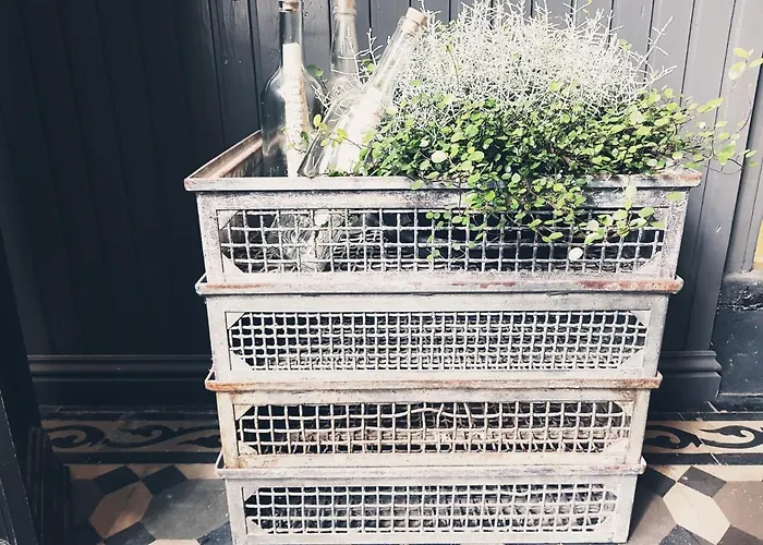 Bed and Breakfast Het Wolfseind