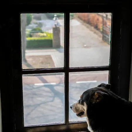 Het Wolfseind * Kaatsheuvel