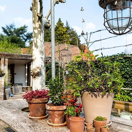 Oda ve Kahvaltı Het Wolfseind Kaatsheuvel