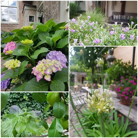 Het Wolfseind Oda ve Kahvaltı *